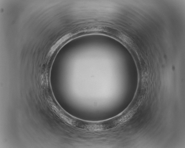 X0000057100789200509231714