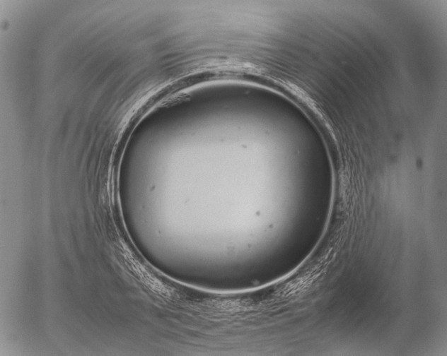 X0000057100791200509231714