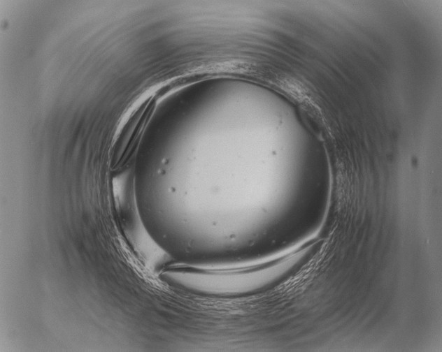 X0000057100792200509231714