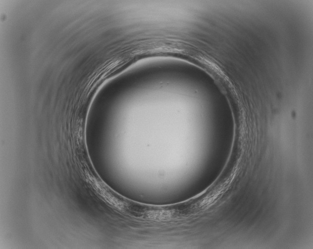 X0000057100793200509231714