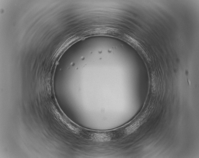 X0000057100794200509231714