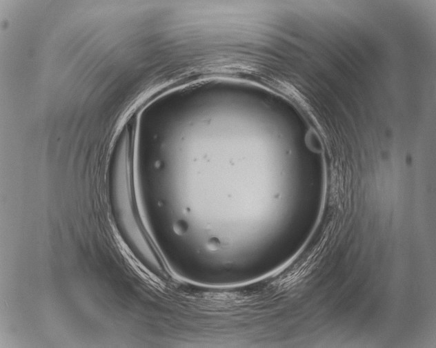 X0000057100795200509231714