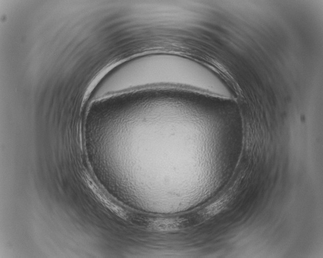 X0000057100796200509231714