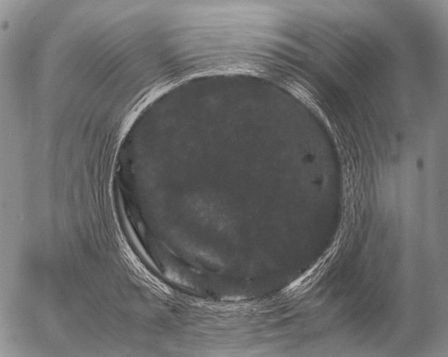 X0000057100797200509231714