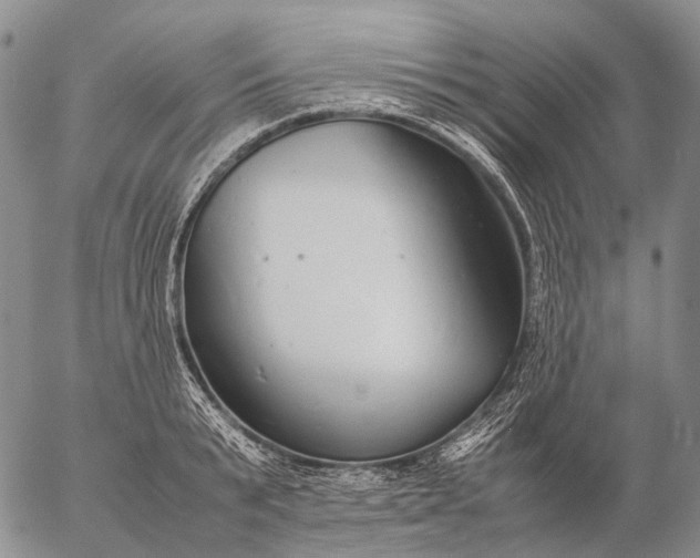 X0000057100799200509231714