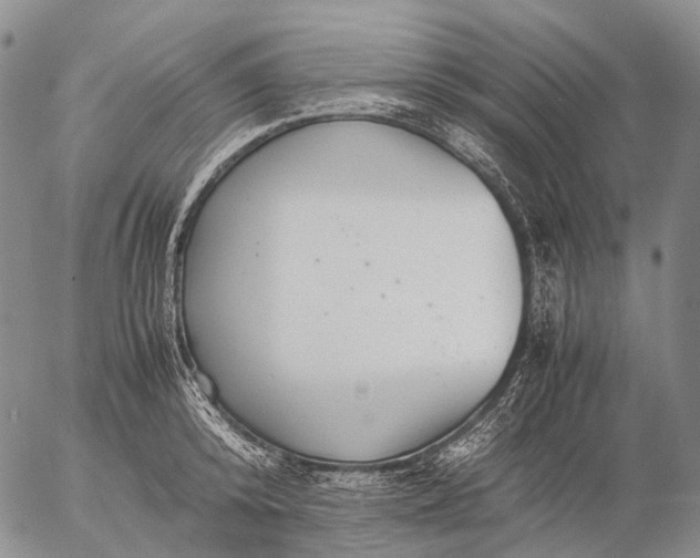 X0000057100800200509231714