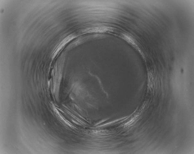 X0000057100802200509231714