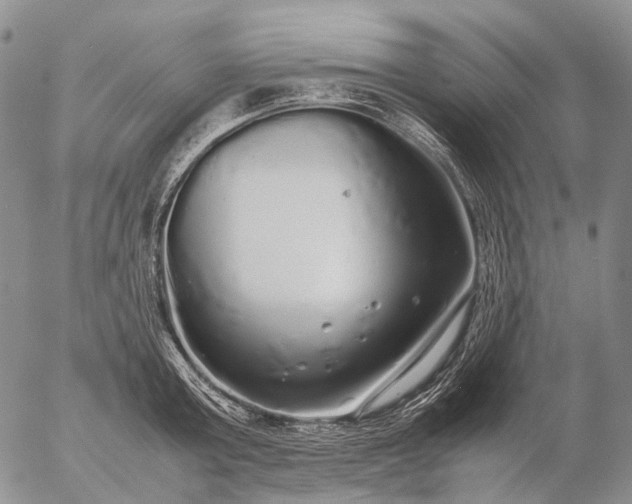 X0000057100803200509231714