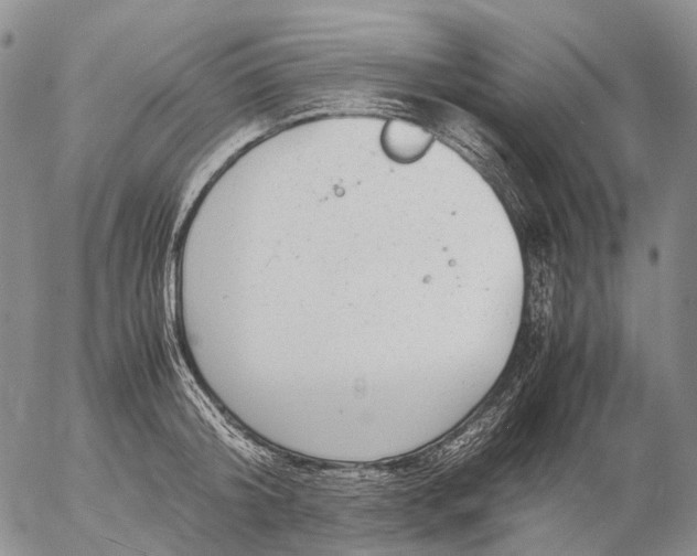 X0000057100804200509231714