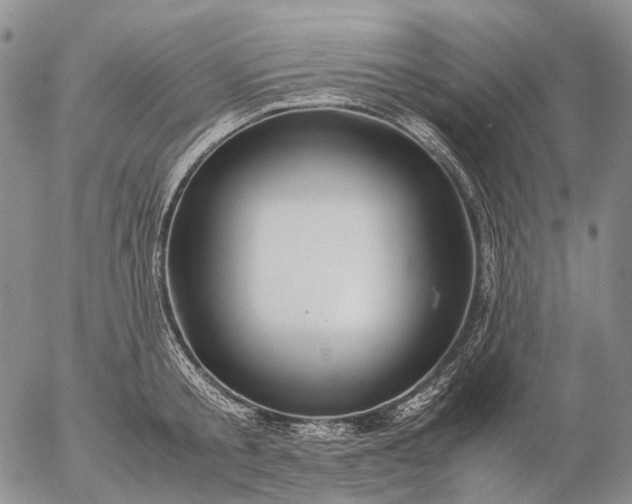 X0000057100805200509231714