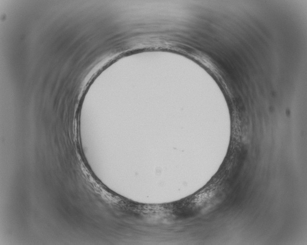 X0000057100807200509231714