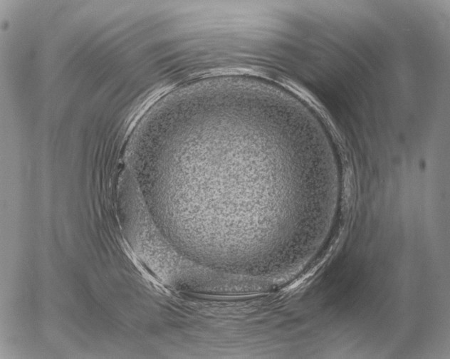 X0000057100809200509231714