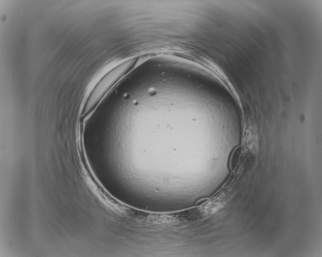 X0000057100811200509231714