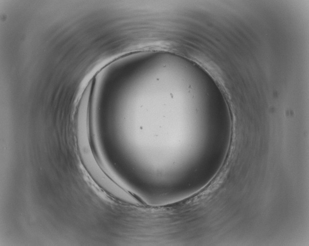 X0000057100816200509231714