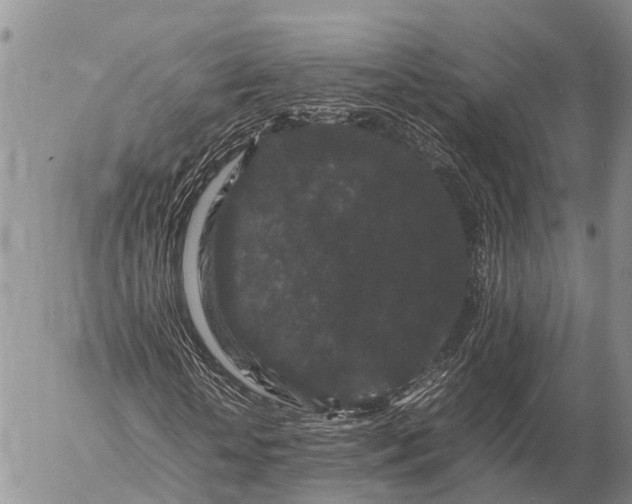 X0000057100818200509231713