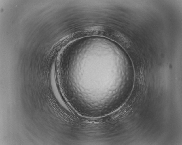 X0000057100821200509231713