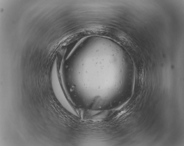 X0000057100822200509231713