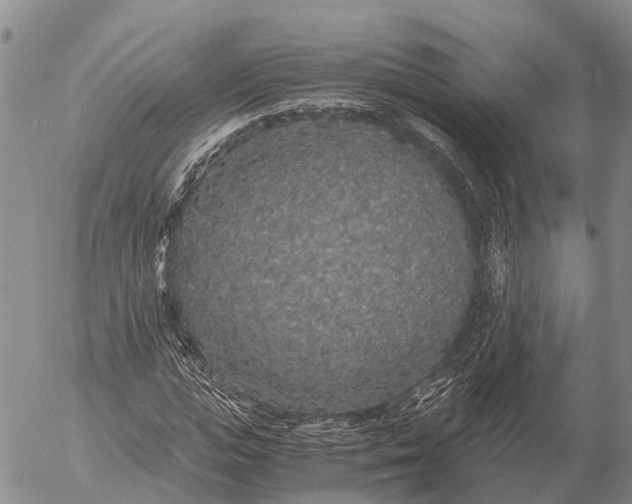 X0000057100823200509231713