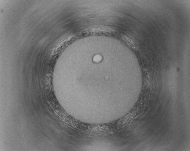 X0000057100824200509231713