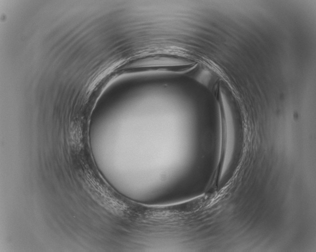 X0000057100826200509231713