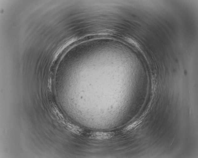 X0000057100827200509231713