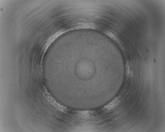 X0000057100828200509231713