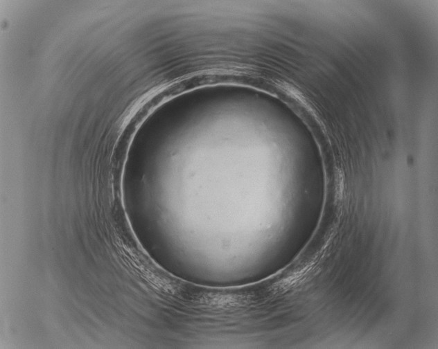 X0000057100829200509231713