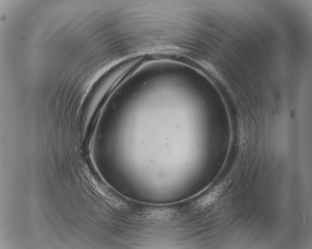 X0000057100830200509231713