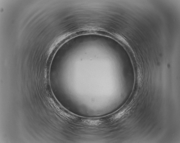 X0000057100831200509231713