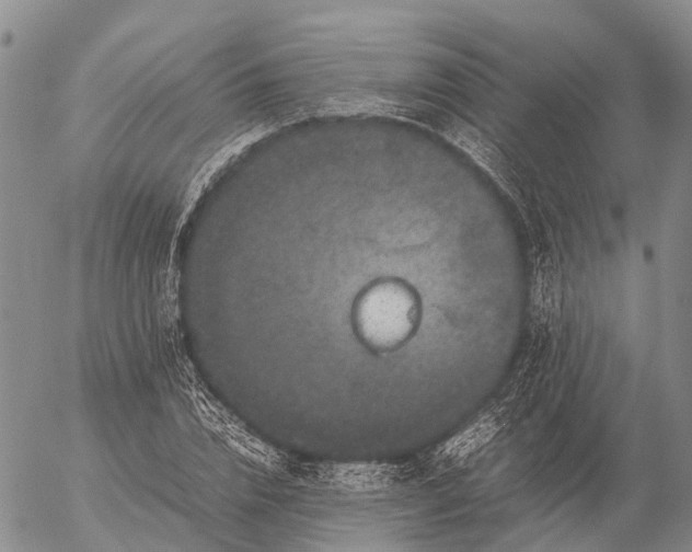 X0000057100832200509231713