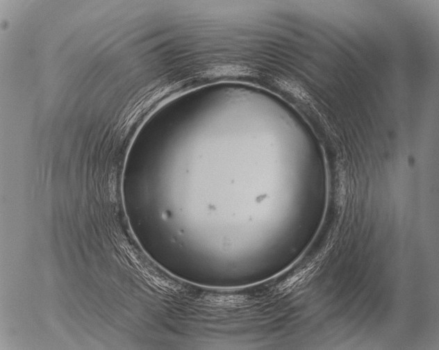 X0000057100833200509231713