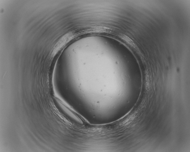 X0000057100834200509231713