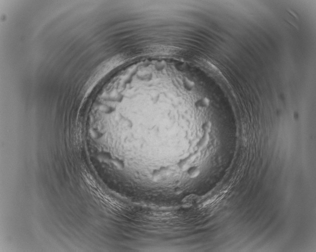 X0000057100835200509231713