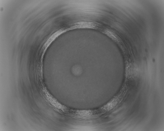 X0000057100836200509231714