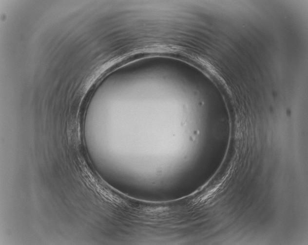 X0000057100837200509231714