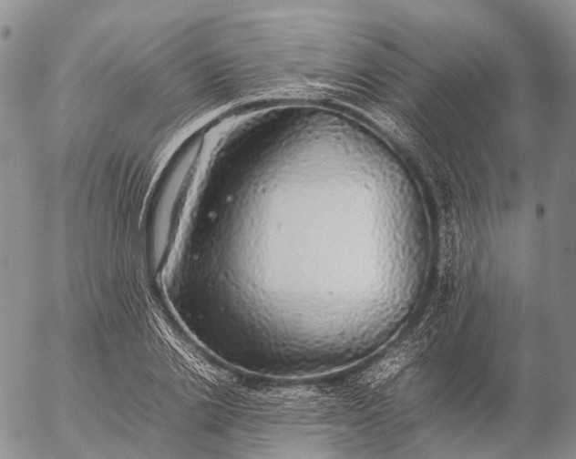 X0000057100838200509231714