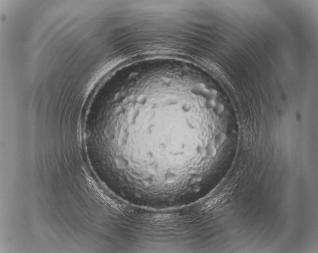 X0000057100839200509231714