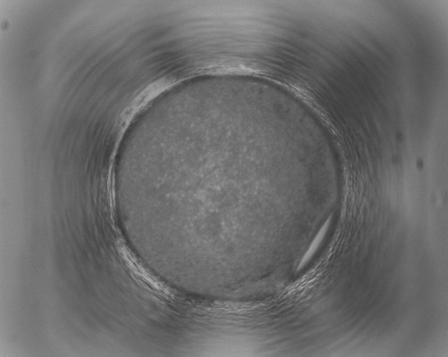 X0000057100840200509231714