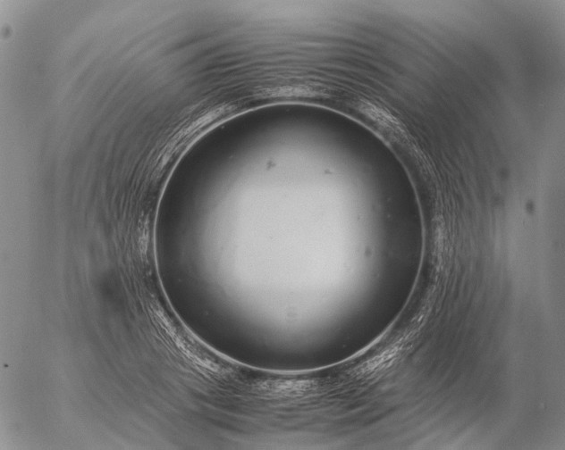 X0000057100841200509231714