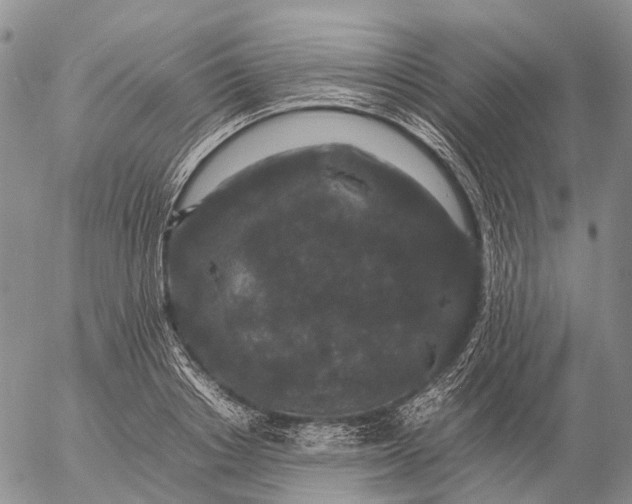 X0000057100842200509231714