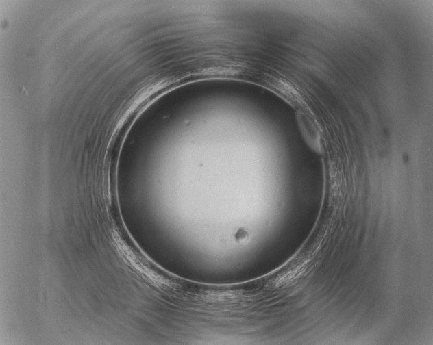 X0000057100843200509231714