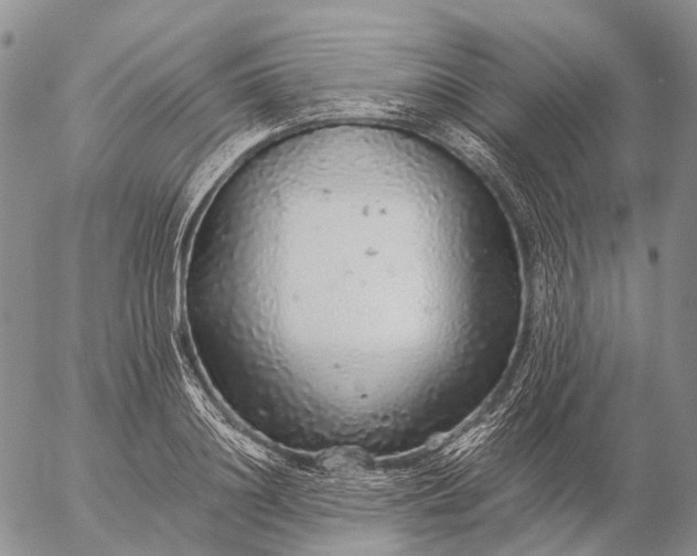 X0000057100844200509231714