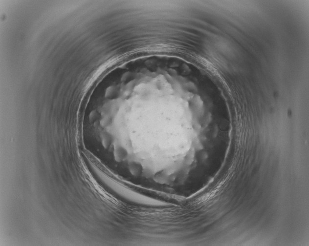 X0000057100845200509231714