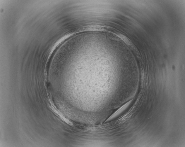 X0000057100846200509231714