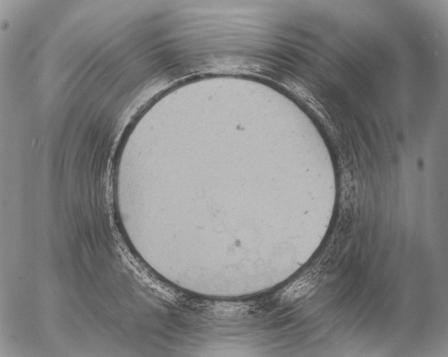 X0000057100848200509231714