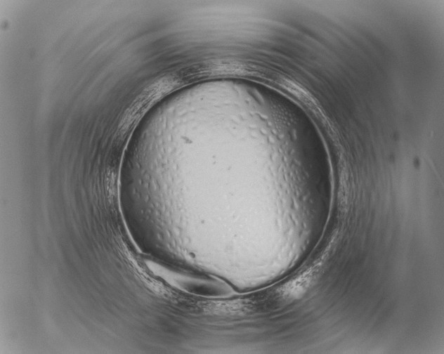 X0000057100849200509231714