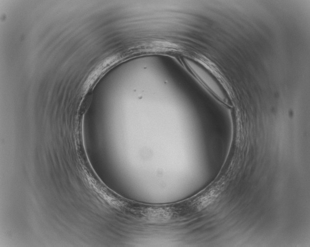 X0000057100850200509231714