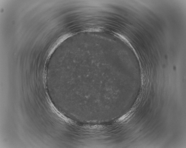 X0000057100851200509231714