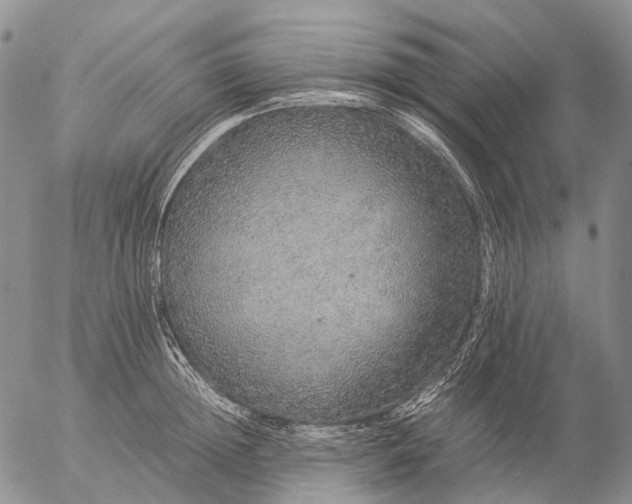 X0000057100852200509231714