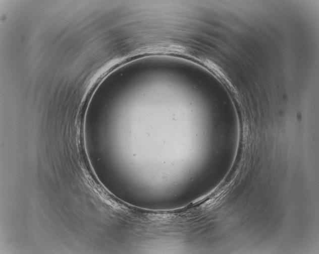 X0000057100854200509231714